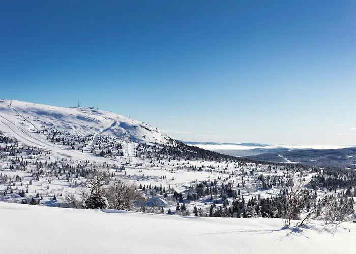 Ferieanlegg Skeikampen Servicesenter 2*