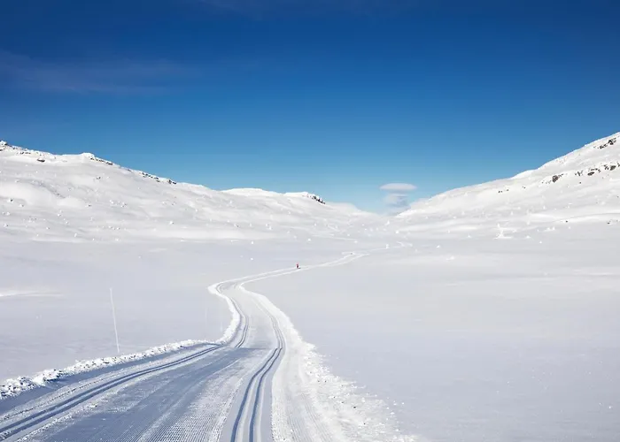 Ferieanlegg Skeikampen Servicesenter