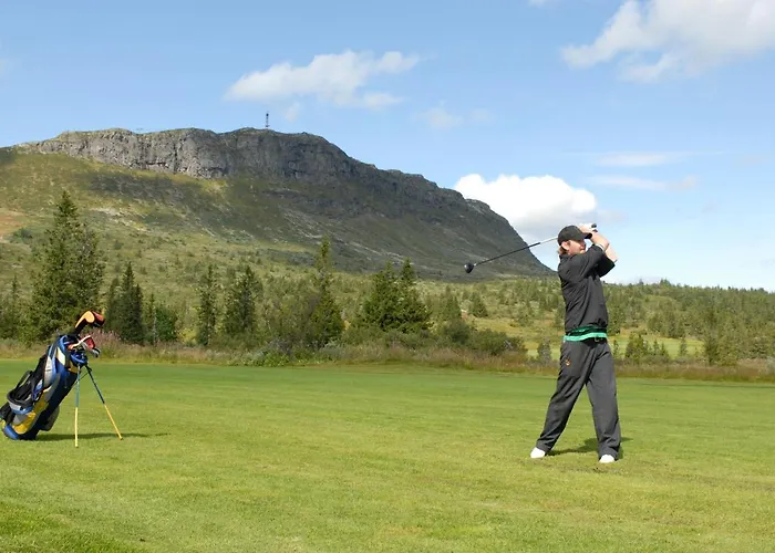 Skeikampen Servicesenter 2* Svingvoll